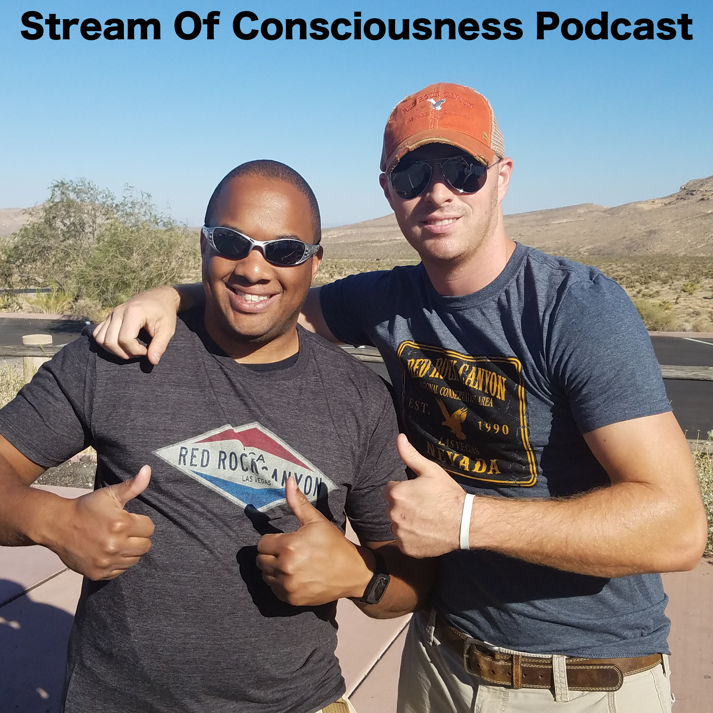 Stream Of Consciousness Podcast
